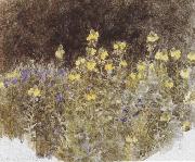 Helen Allingham,R.W.S Studies of Flowers (mk37) oil on canvas
